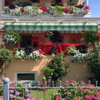 Blumen Auf Drei Ebenen