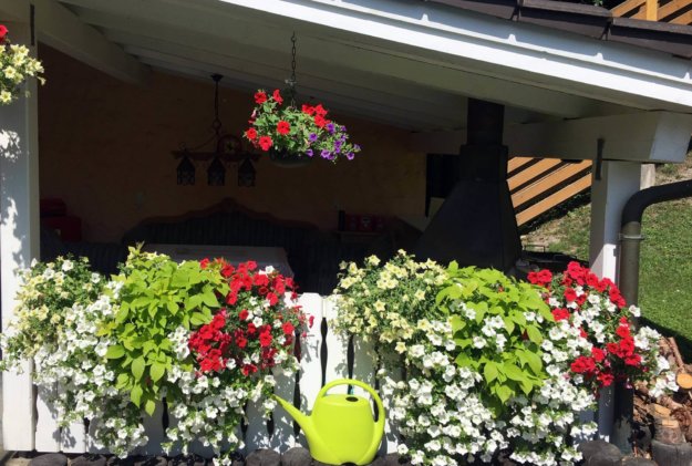 Balkonblumen Am Carport