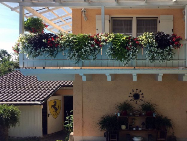Balkonblumen Pergola