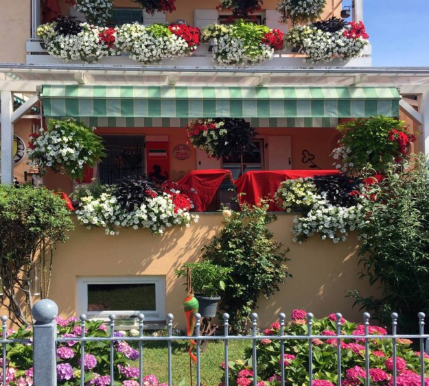 Blumen Auf Drei Ebenen