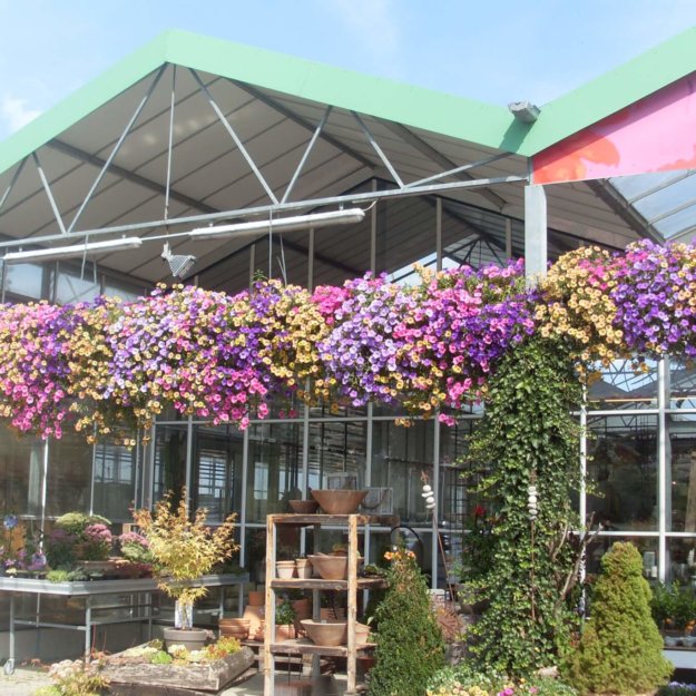 Blumen Kefer Bad Aibling Eingang