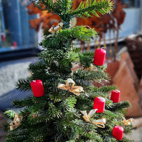 Christbäumchen handgemacht Christbäumchen handgemacht