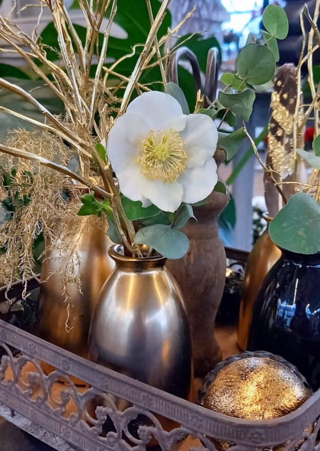 Goldene Vasen mit Schneerose
