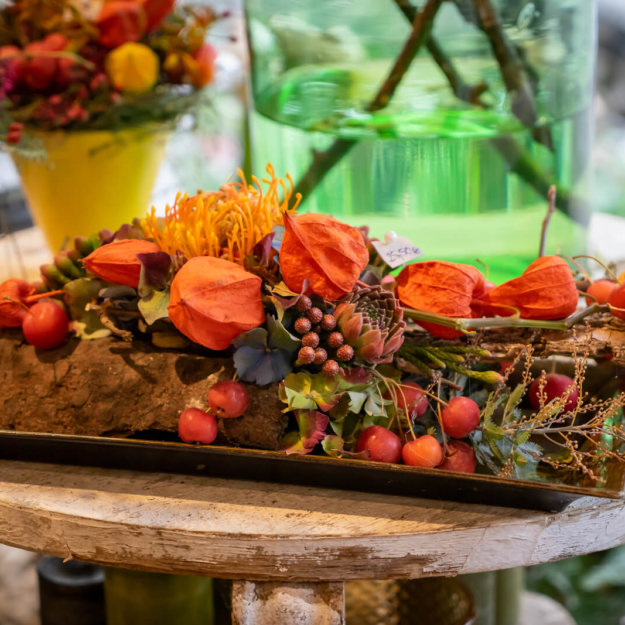 Herbstlich Mit Physalis