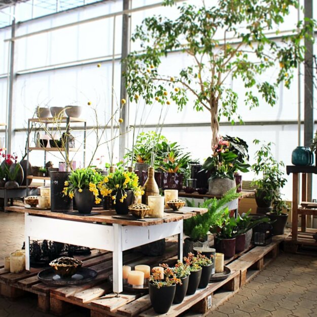 Verkaufsraum Blumenhof mit Baum und Kerzen